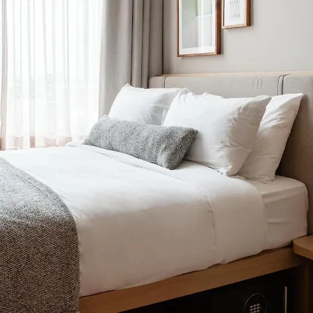 Wren Urban Nest دبلن