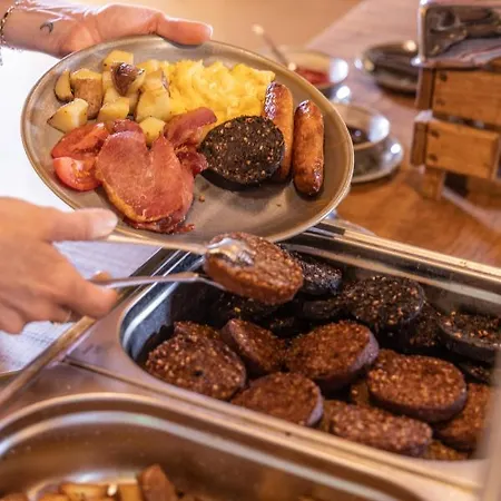 Wren Urban Nest دبلن