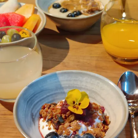 Wren Urban Nest 4* دبلن