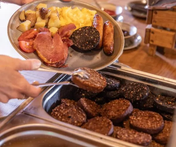 Wren Urban Nest 都柏林