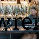Wren Urban Nest